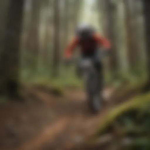 Mastering the Adrenaline-Pumping Descent Thrill of the Descent