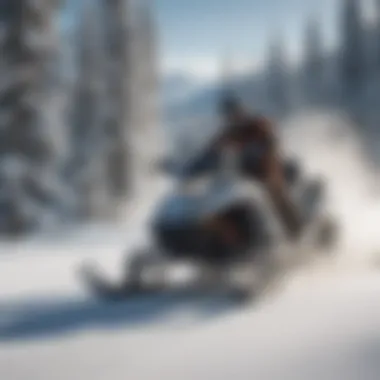 Thrilling Snowmobile Ride in White Mountain Backcountry