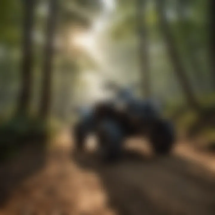 Thrilling Terrain of Arkansas Four Wheeler Trails