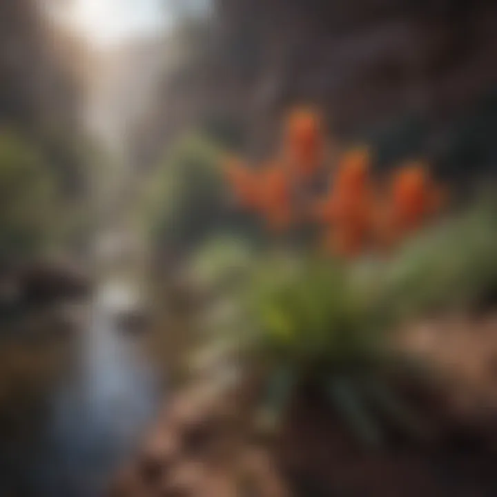 Unique Flora Along Thunder River