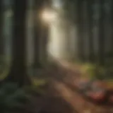 Conceptual representation of zero net waste