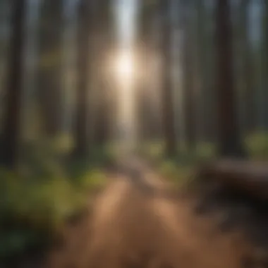 Beautiful trails surrounding Upper Pines Campground