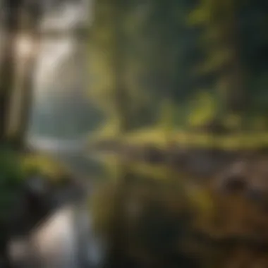 Tranquil Fishing Scene in Bear Creek