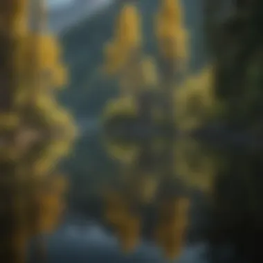 Tranquil Lake Reflection in Silverton CO RV Park