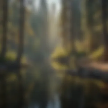 Tranquil Lake Reflection at Tuolumne Campgrounds