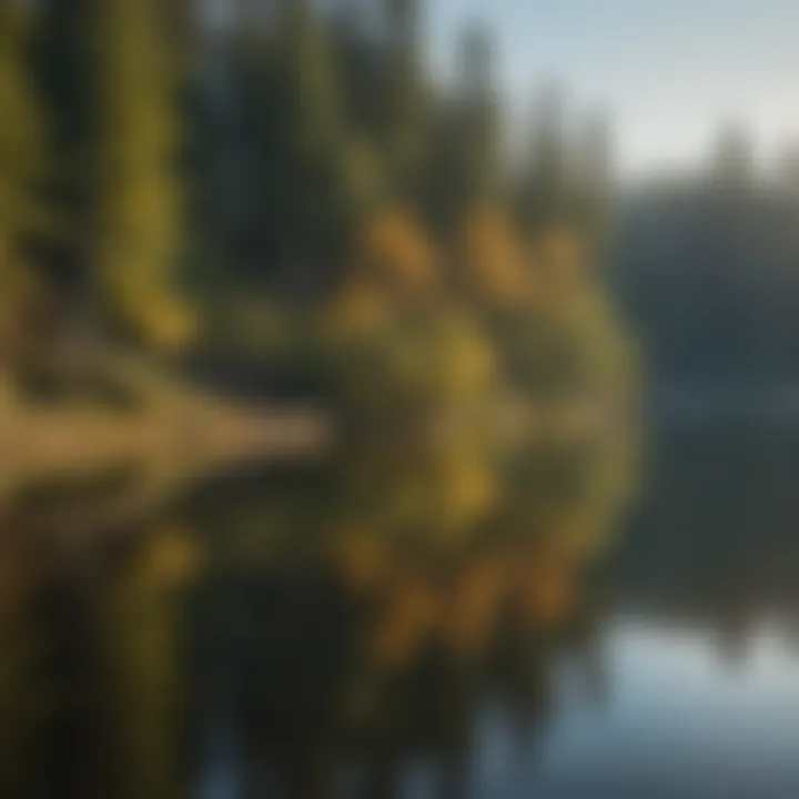 Tranquil lake reflections at Newport at Clear Lake