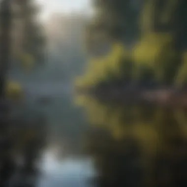 Tranquil Lake Reflections at Robe Campground