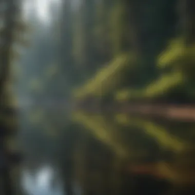 Tranquil Reflections on McKenzie River