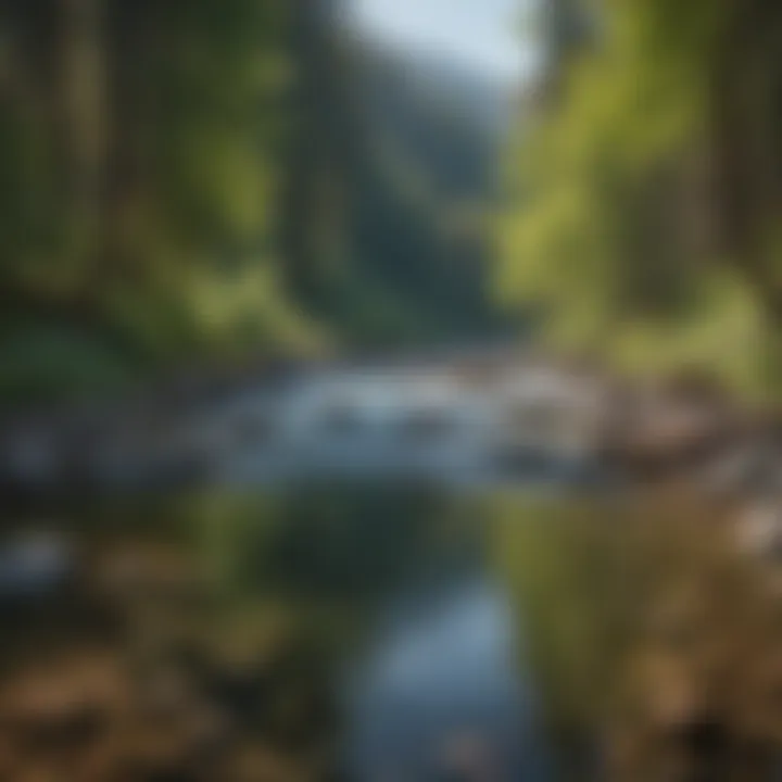 Tranquil River Flowing Through Wenatchee Tranquil River Flowing Through Wenatchee