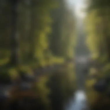 Tranquil river near Anchorage Campsite