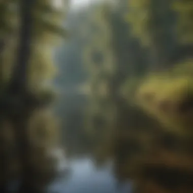 Tranquil Waters of Russel Pond