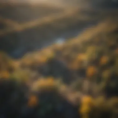 Biodiversity in Northern Nevada's Woodlands An aerial view of a diverse forest landscape in Northern Nevada, highlighting biodiversity