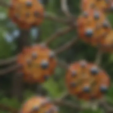 Abstract Representation of Triglyceride Molecules Biochemical structure of triglycerides