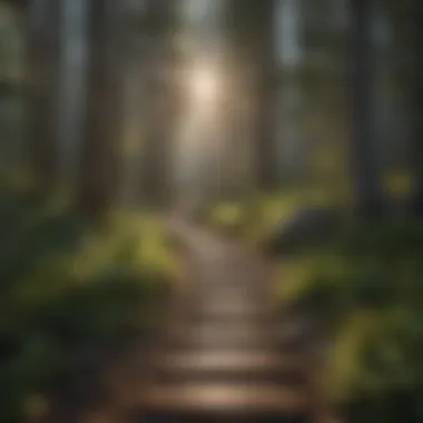 Trinity Lake Resort Hiking Trail