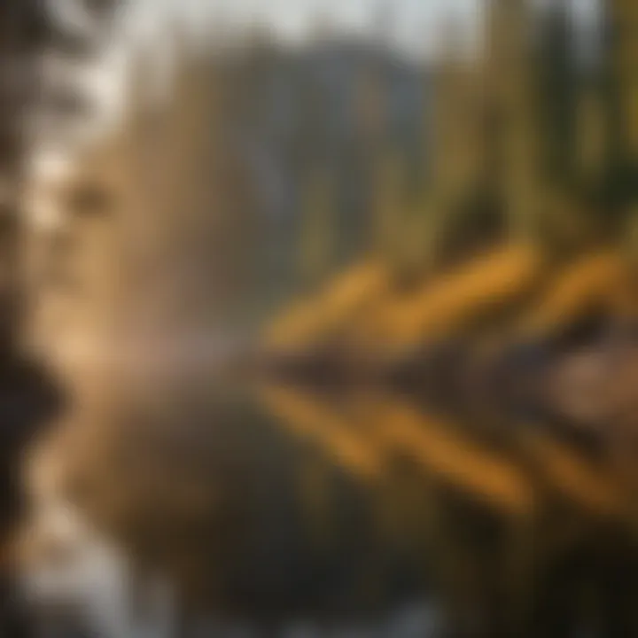 Trinity Lake Sunset Reflection