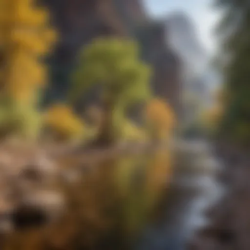 Trout fishing at Oak Creek Canyon