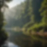 A serene lake surrounded by lush greenery, perfect for trout fishing.