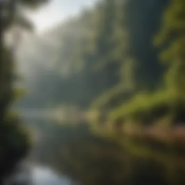 A serene lake surrounded by lush greenery, perfect for trout fishing.