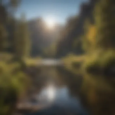 Trout Fishing Experience by a Mountain Lake in Arizona