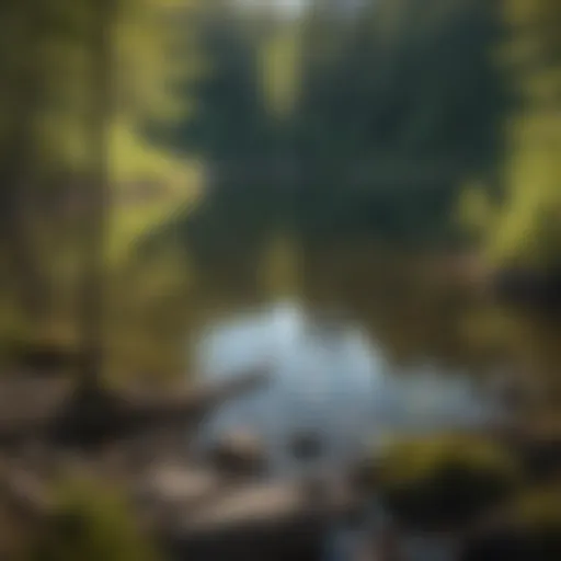 Trout fishing rod against a backdrop of Maine's serene lake