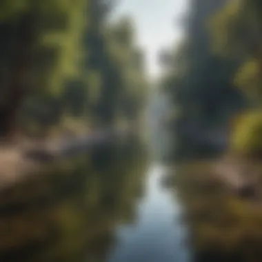 Trout fishing spot in urban Los Angeles