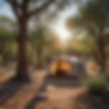 Tranquil Desert Oasis Campsite in Tucson for Nature Lovers Desert Oasis Campsite in Tucson