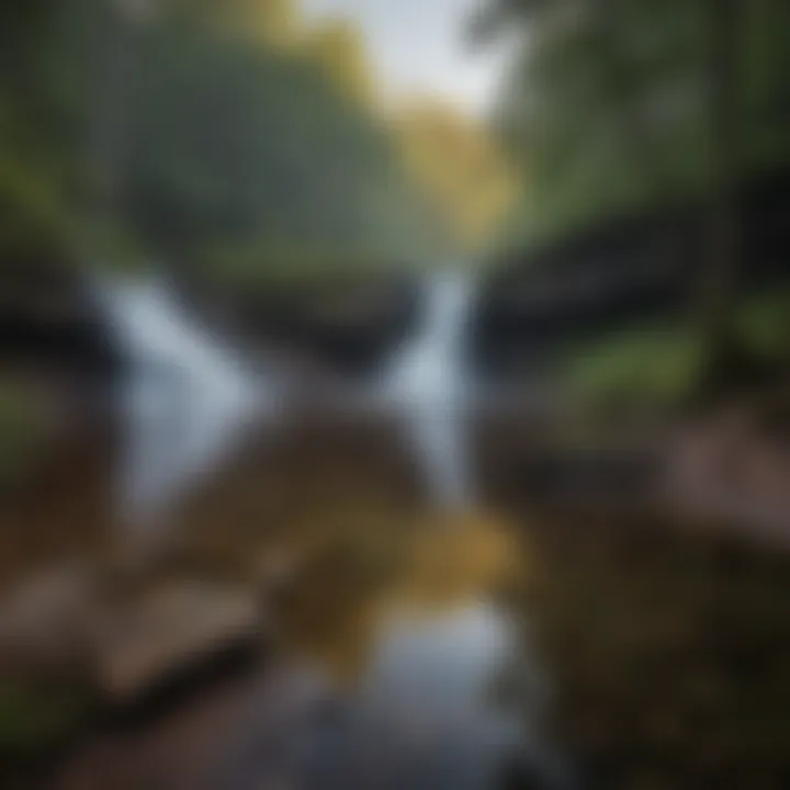 Twilight Reflections at Blackwater Falls State Park