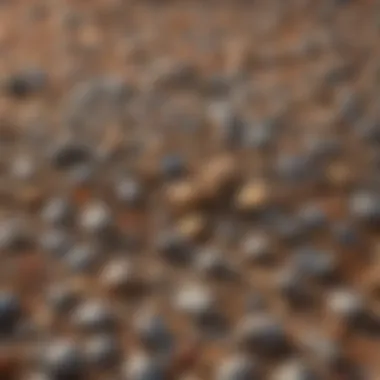 Diverse Types of Gravel Used in Construction Types of Gravel in Construction