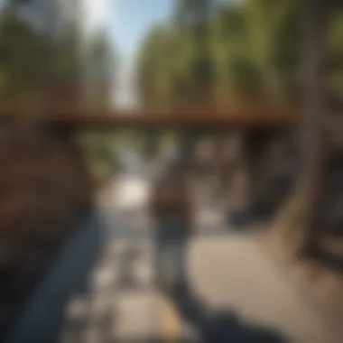 A graphic representation of bridge inspection methodologies and techniques.