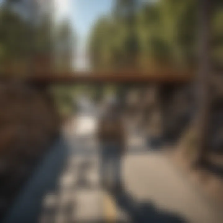 A graphic representation of bridge inspection methodologies and techniques.