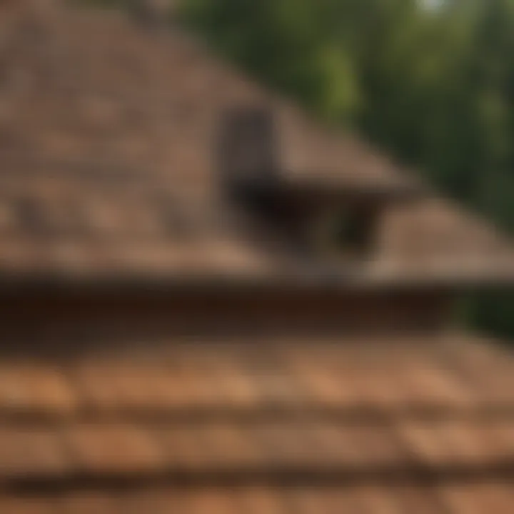 Before and after restoration of cedar shake roofs