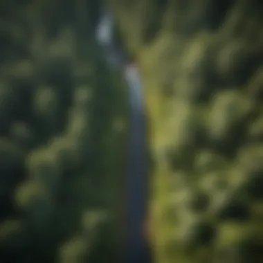 Aerial view of a forested area with a 10-foot culvert