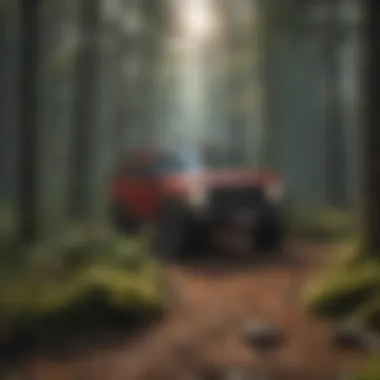 A case study showcasing successful implementation of EMS in a forest ecosystem.