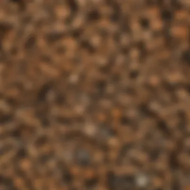 An illustration depicting geographic variations in firewood standards across regions