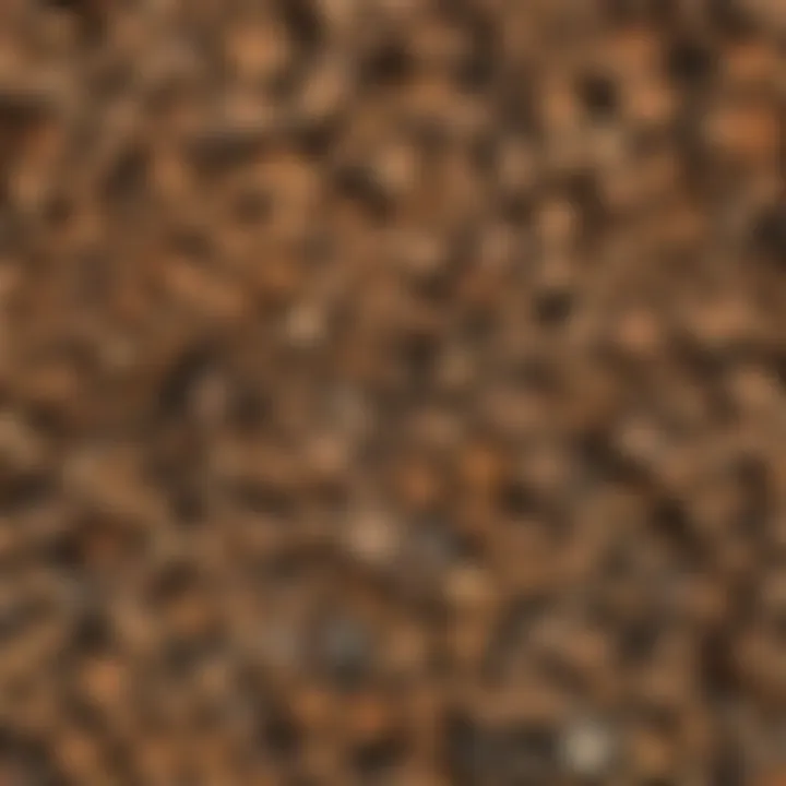 An illustration depicting geographic variations in firewood standards across regions