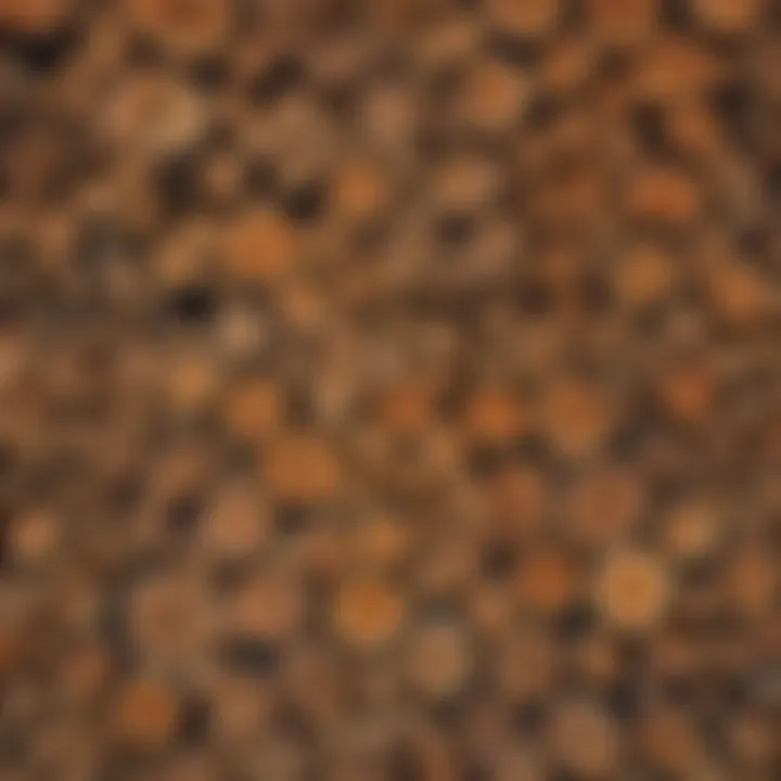 A visual comparison of different types of firewood with distinct characteristics