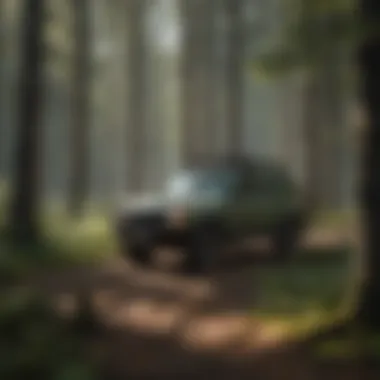 Notable Understanding Griphoist TU28: Applications and Significance in Forestry Notable Understanding Griphoist TU28: Applications and Significance in Forestry