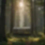 Energy Inefficiencies Impacting Electric Bills Illustration of complex energy inefficiencies affecting high electric bills