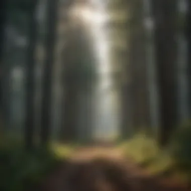 Factors Influencing Elevated Electricity Costs Abstract depiction of the interplay of factors contributing to elevated electricity expenses