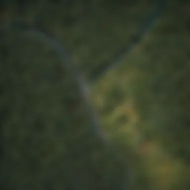 Remote Sensing and Census Data Integration Satellite view of forest cover changes over time