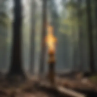 KCR drip torch in action during a controlled burn in a forested area