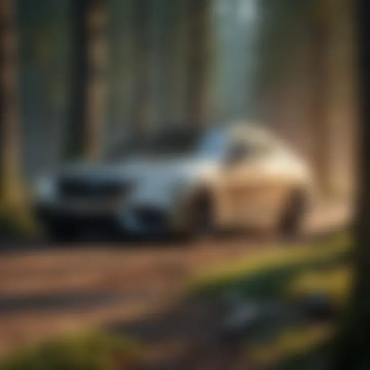 Taxation models for different business legal structures