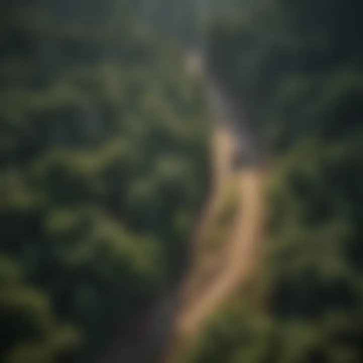 Sustainable Forestry Practices An aerial view of a sustainably managed forest area
