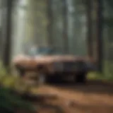 Dense forest showcasing sustainable forestry practices