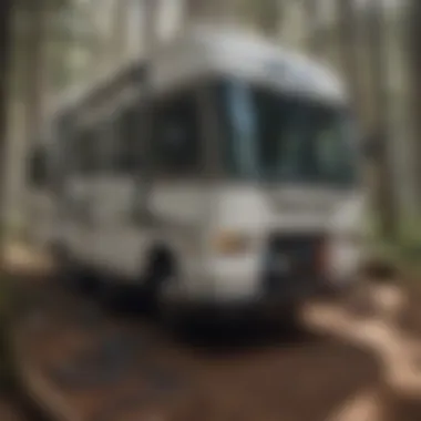 Illustration showing different types of RV electrical connections