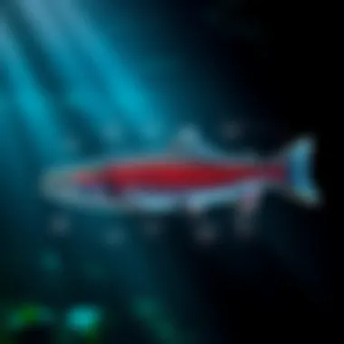 Lifecycle stages of steelhead salmon depicted in a diagram