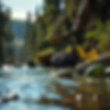 A serene river habitat crucial for steelhead salmon