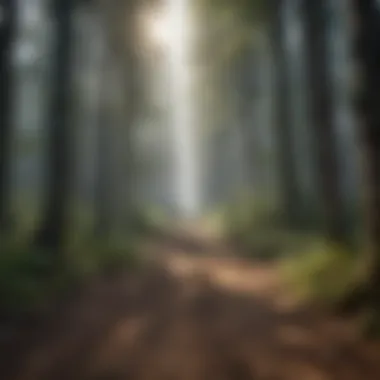 Key Sources of Methane Emissions Sources of methane emissions