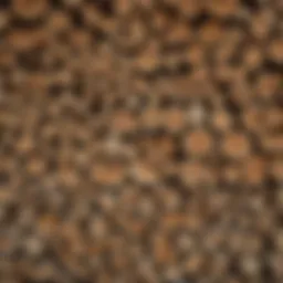 A neatly stacked face cord of firewood illustrating its measurement.