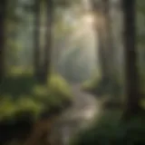 Diversity of Ecosystem in North Carolina Wildlife habitat showcasing the diversity of North Carolina's ecosystem